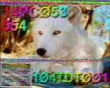 20170514_165609.png
